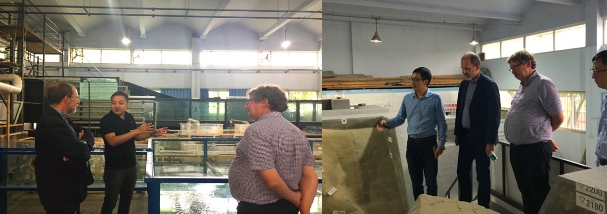 7m足球完场比分