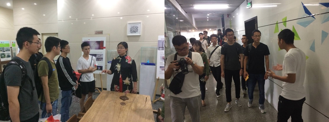 7m足球完场比分