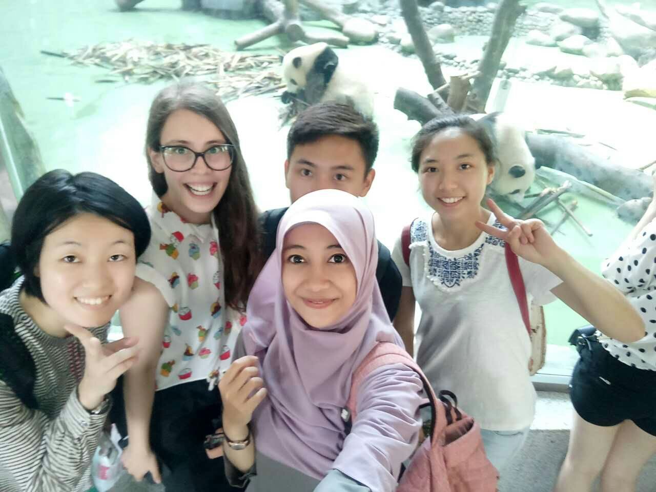 7m足球完场比分