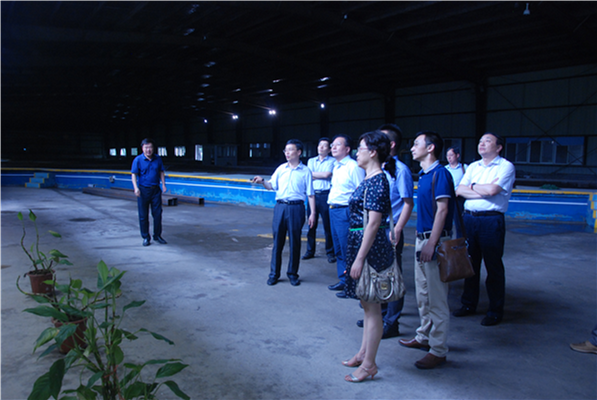 7m足球完场比分