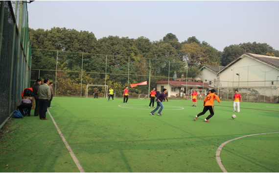 7m足球完场比分