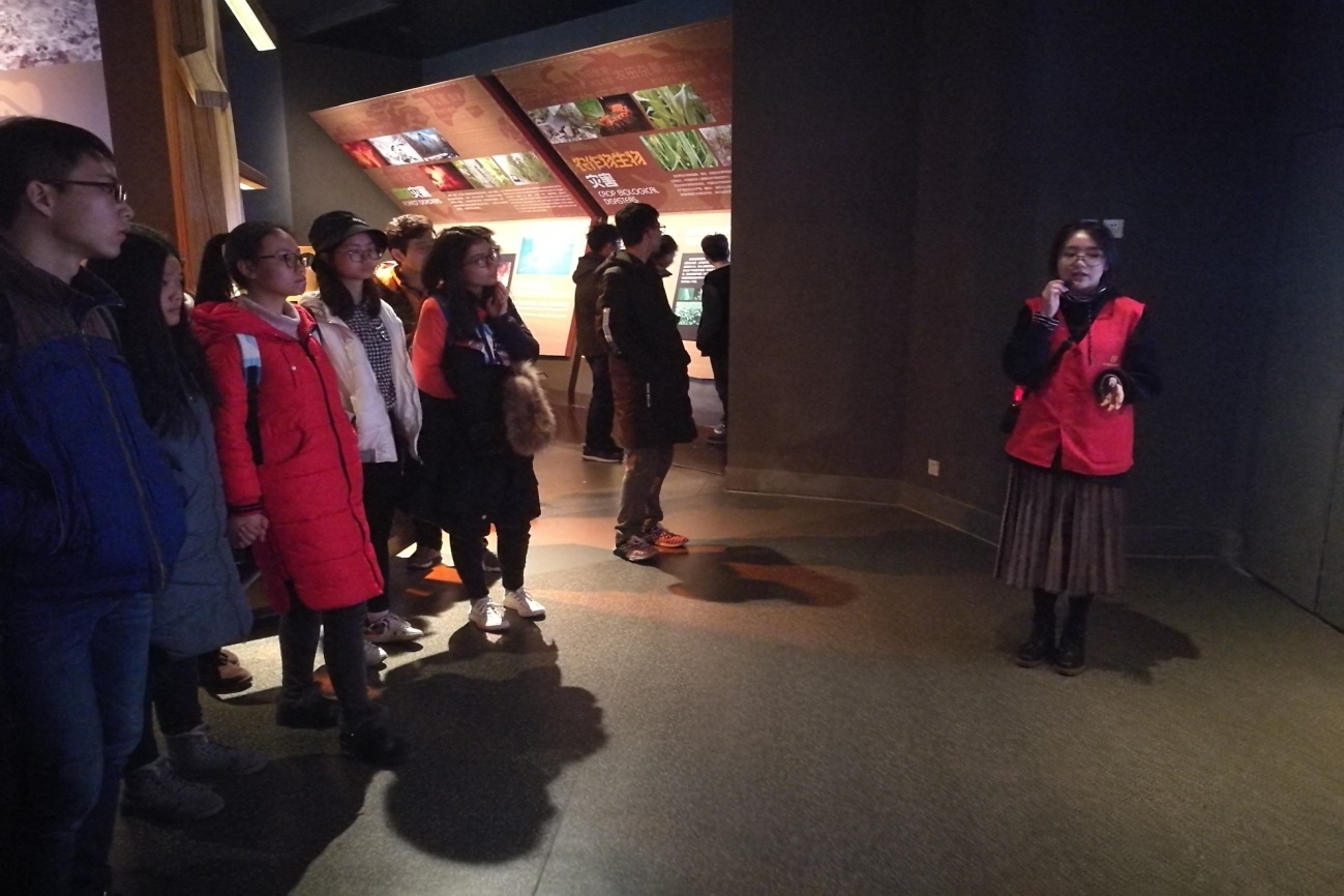 7m足球完场比分