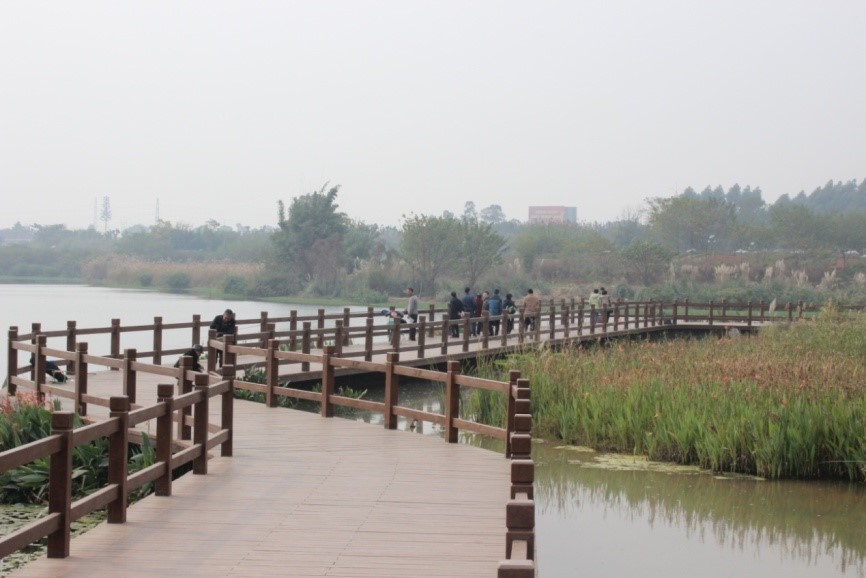 7m足球完场比分