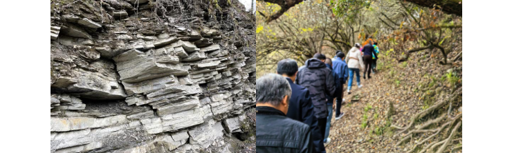 1702452019289615.png image.png