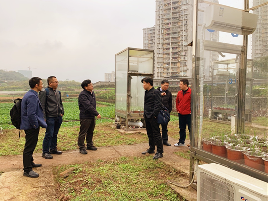 1545963666714039.png 333_副本.png