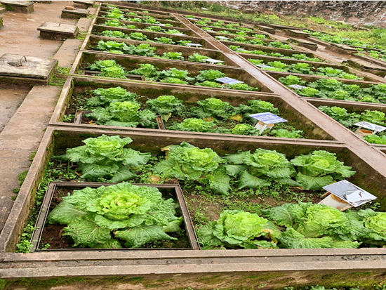 1545963748926031.png 444_副本.png