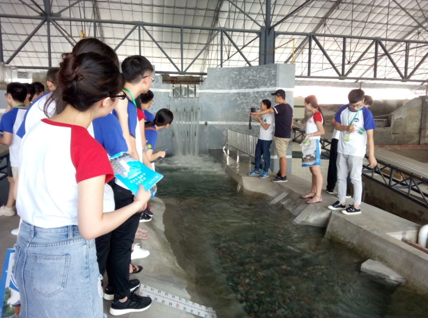 7m足球完场比分