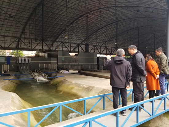 1543389523469697.png 1222.png