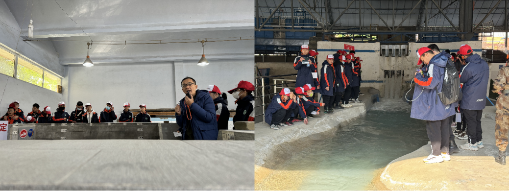 7m足球完场比分